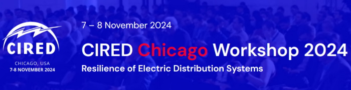 Logo CIRED Chicago Workshop 2024