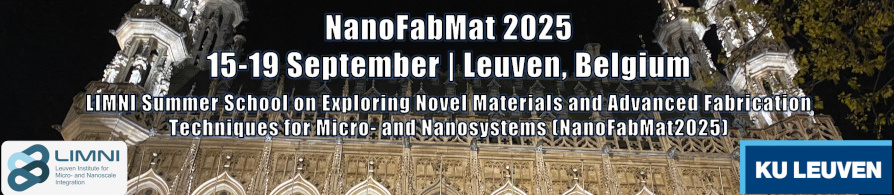 Logo NanoFabMat 2025