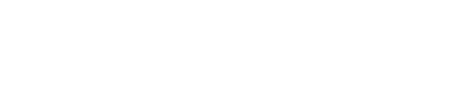 Logo NENE 2024