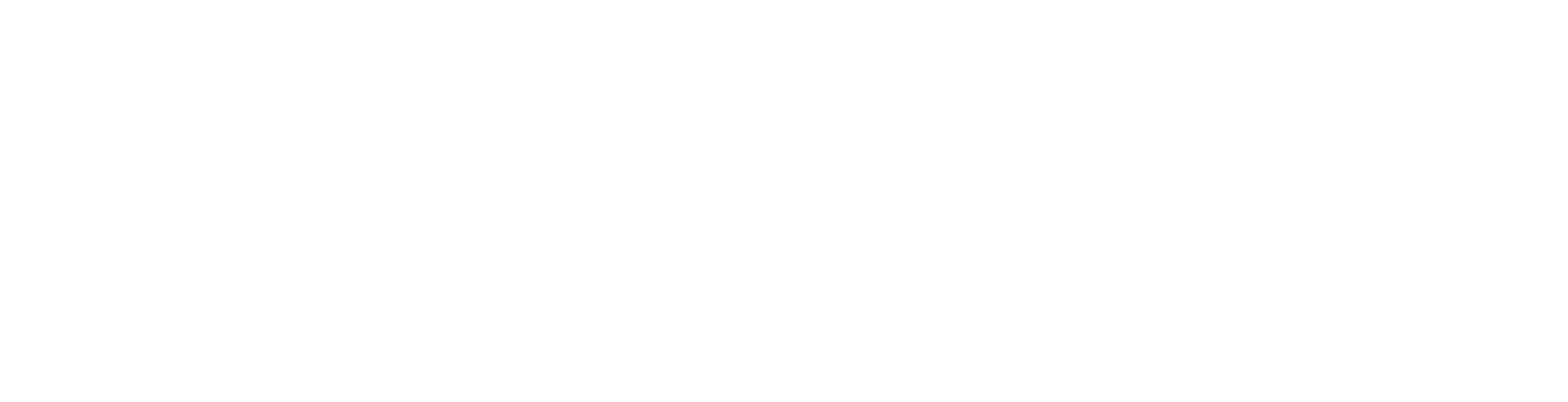 Logo NENE 2025