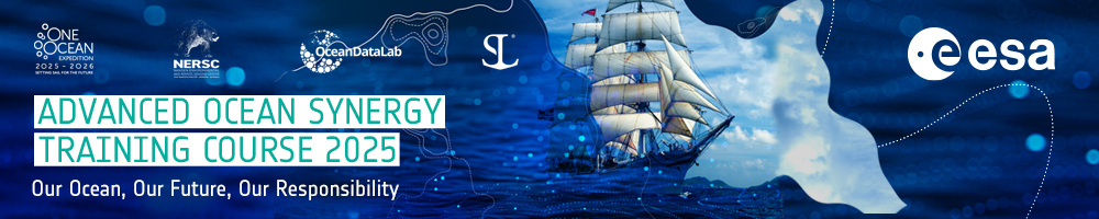 Logo ESA Ocean Training Course 2025