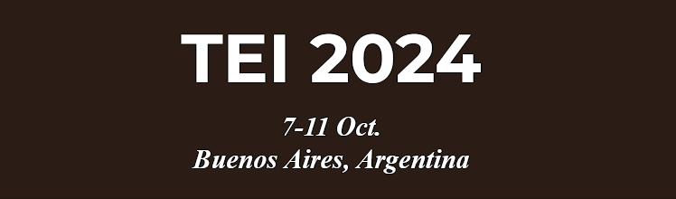 Logo TEI 2024